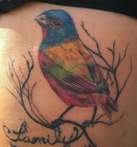 David Wick Tattoo bird